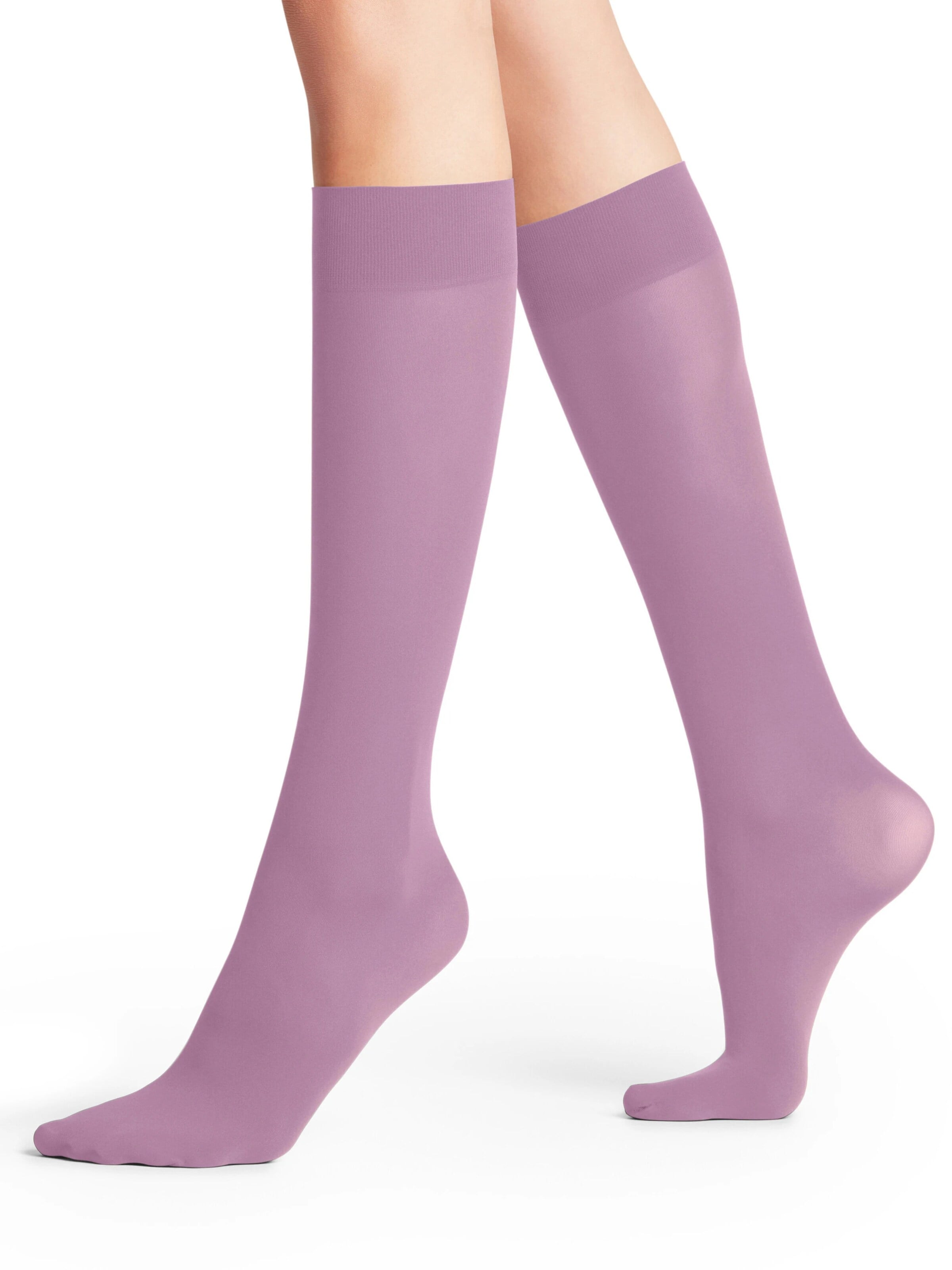 FALKE Over the Knee Socks 'Pure Matt' in Pink: front