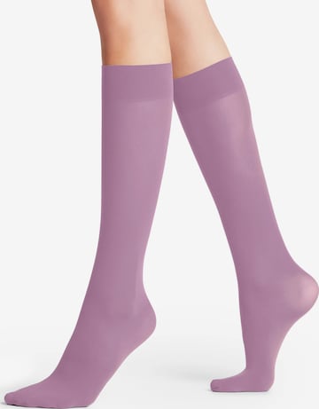FALKE Over the Knee Socks 'Pure Matt' in Pink: front