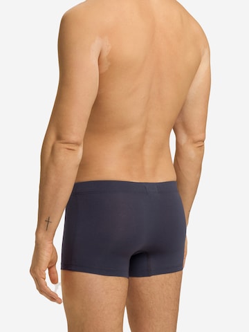 Hanro Boxer shorts 'Essentials' in Blue