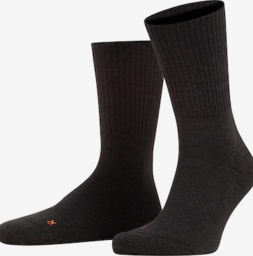 FALKE Socks 'Walkie Light' in Grey: front