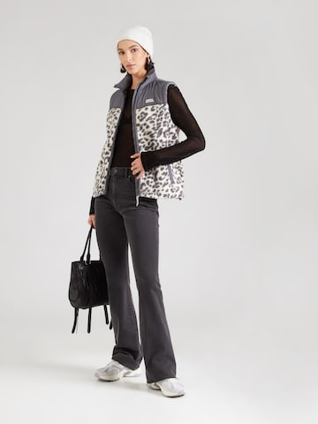 Sublevel Vest in Grey