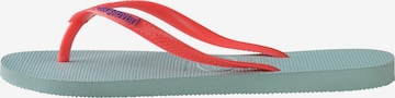 Calzatura aperta di HAVAIANAS in blu: frontale