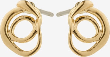 auksinė Pilgrim Auskarai 'Diego': priekis