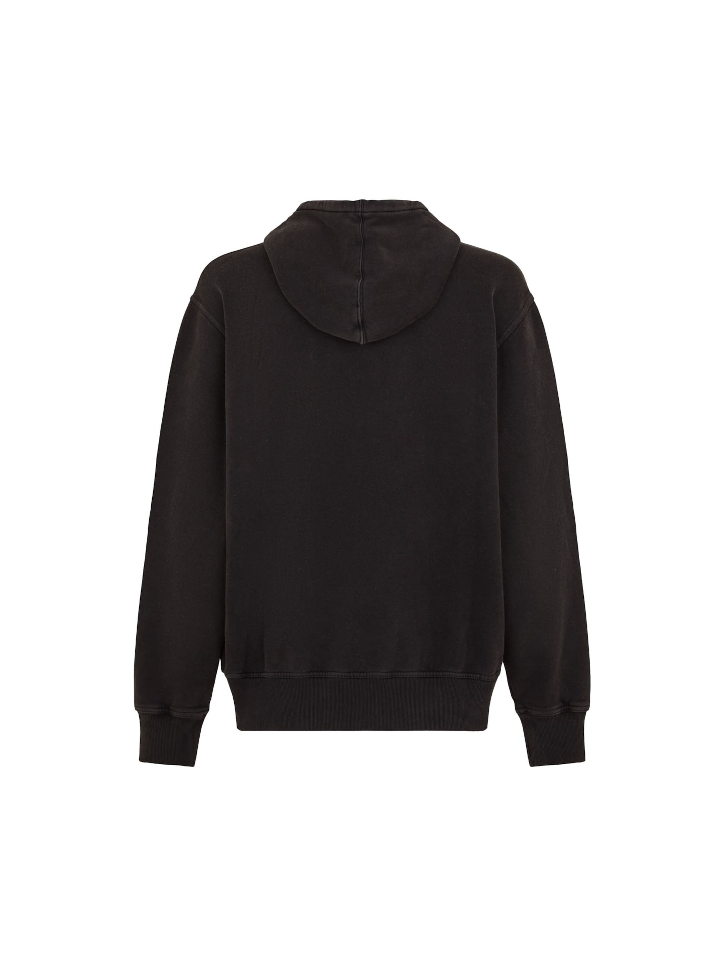 DICKIES Μπλούζα φούτερ 'Plentywood' σε μαύρο