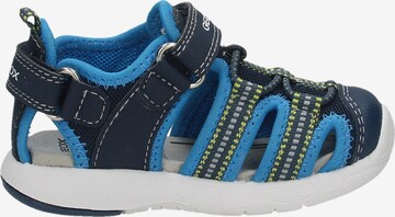 GEOX Sandale 'Multy' in Blau