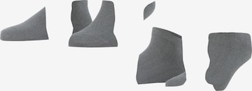 FALKE Füßlinge 'Happy 2-Pack' in Grau: Vorderseite
