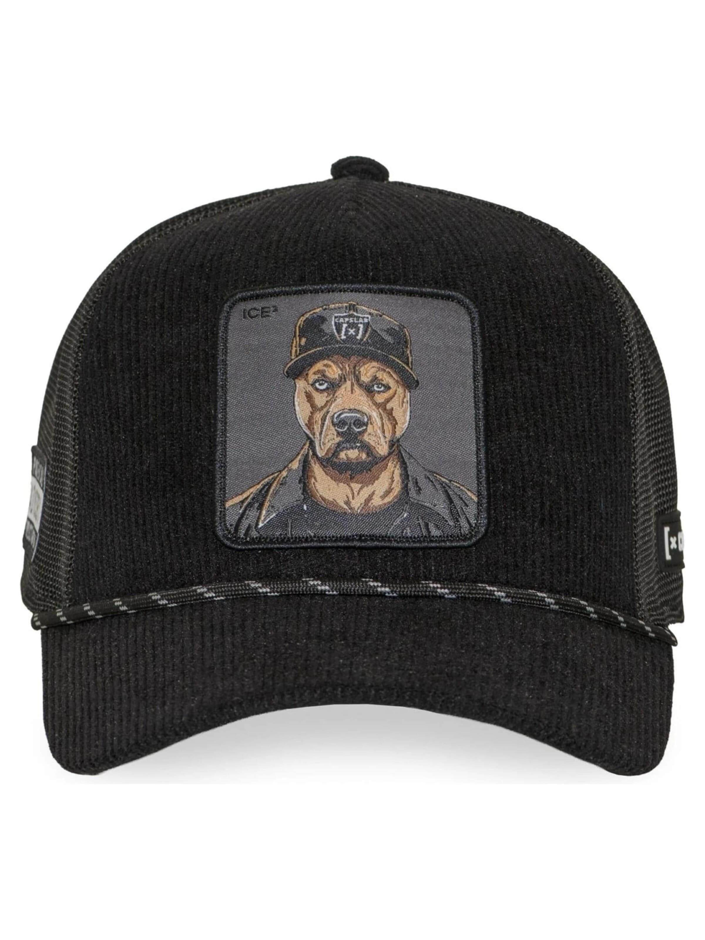 Capslab - Gorra 'Gorra capslab negra pana ice cube bad trucker cap' en negro: frente