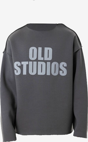 Sweat-shirt Dandalo en gris : devant