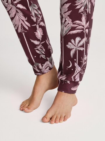 CALIDA Pyjamabroek 'Favourites Ground' in Rood