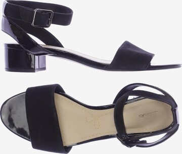 CLARKS Sandals & High-Heeled Sandals in 42 in Black: front