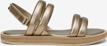 Marc O'Polo Sandals in Gold