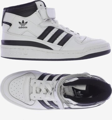 ADIDAS ORIGINALS Sneakers & Trainers in 37 in White: front