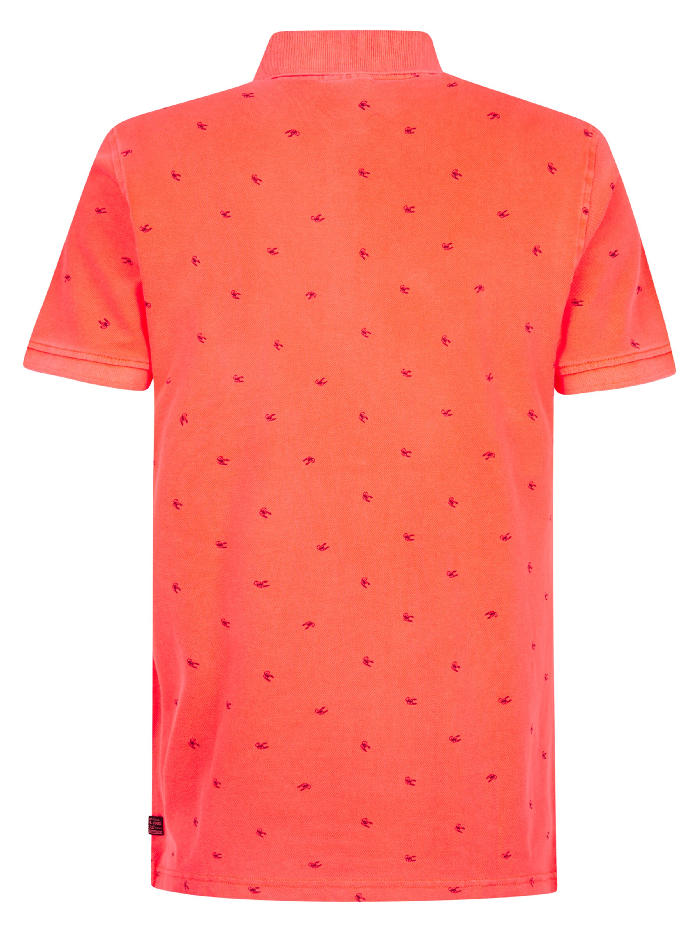Petrol Industries Shirt 'OlaVerde' in Oranje