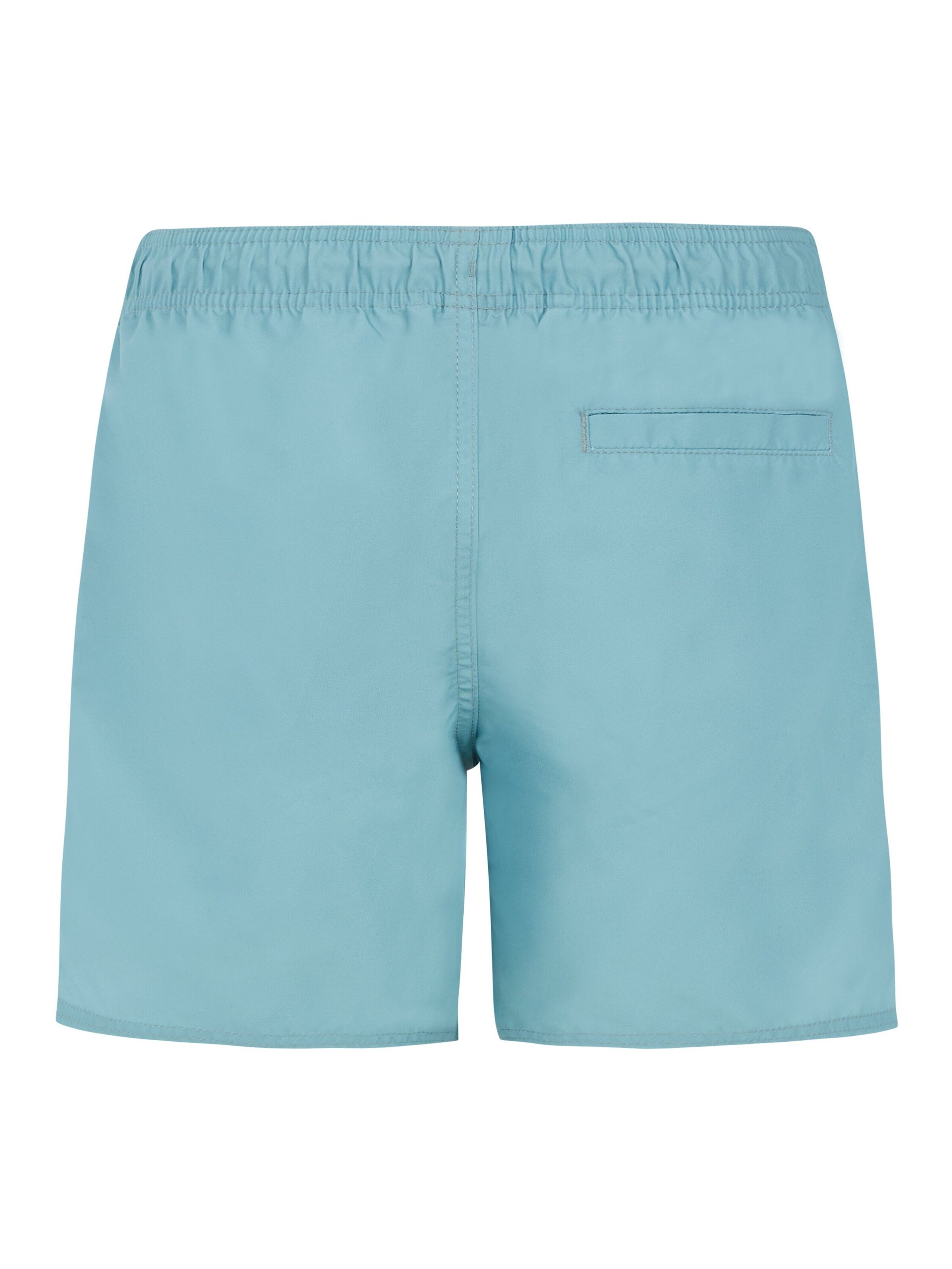 PROTEST Badeshorts 'PRTYORK JR'‌‌‌‌‌ in Blau