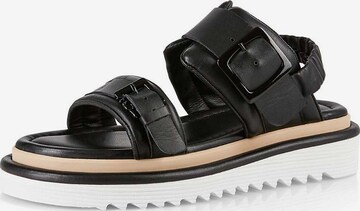 Marc Cain Sandals in Black: front