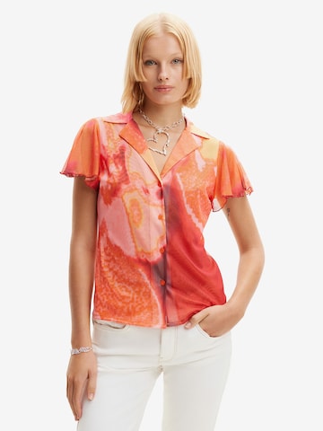 Desigual Футболка в Смешанный: спереди