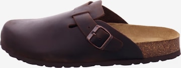 Zoccoletto 'Baden' di Neu-B in marrone: frontale