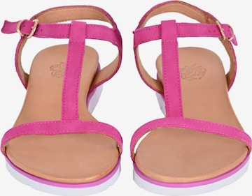 Apple of Eden Strap Sandals ' DANA ' in Pink