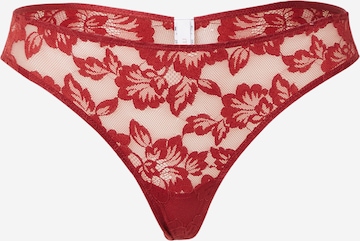 Panty di Mey in rosso: frontale