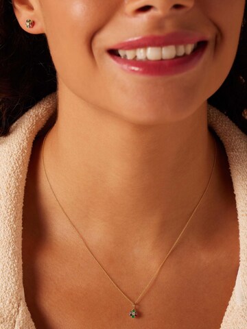 Chaîne Lucardi en or