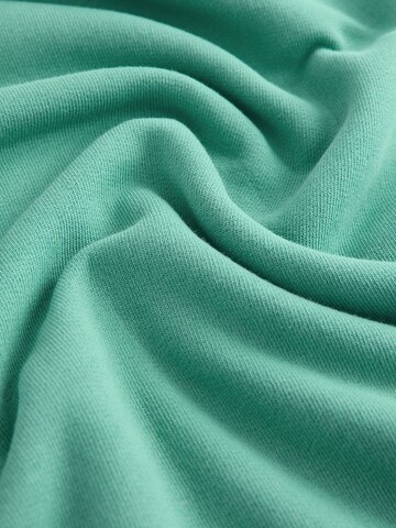 Next Sweatshirt in Green