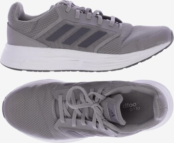 ADIDAS PERFORMANCE Sneaker 42 in Grau: predná strana