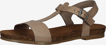 COSMOS COMFORT Sandaal in Beige: voorkant