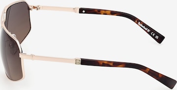 TIMBERLAND Sonnenbrille in Gold