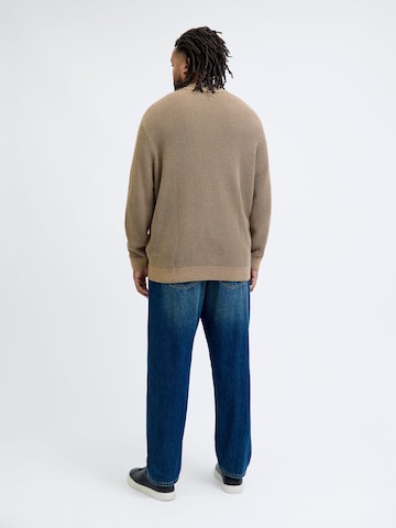 Pullover di JACK & JONES in marrone