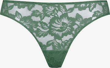 Mey String 'Amazing' in Green: front