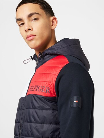 mėlyna TOMMY HILFIGER Demisezoninė striukė