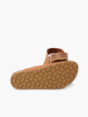 Pisamonas Mule in Brown