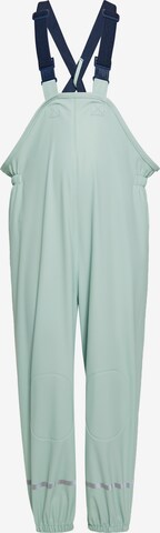 Schmuddelwedda Tapered Athletic Pants in Green: front