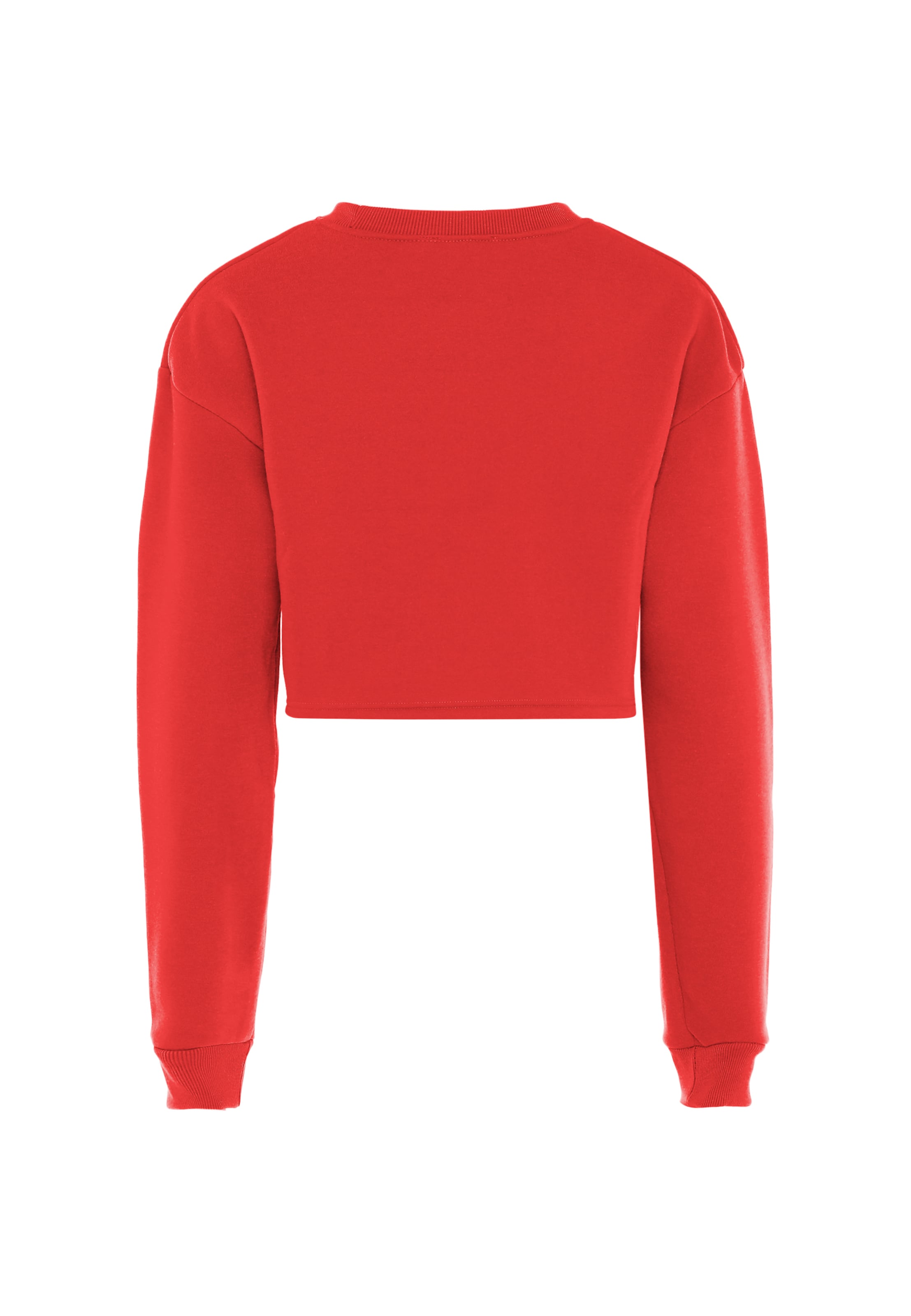 hoona Sweatshirt in Rot