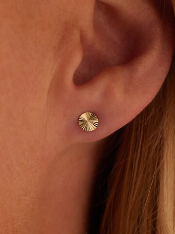 Boucles d'oreilles Lucardi en or : devant