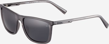TIMBERLAND Solbriller i grå: forside