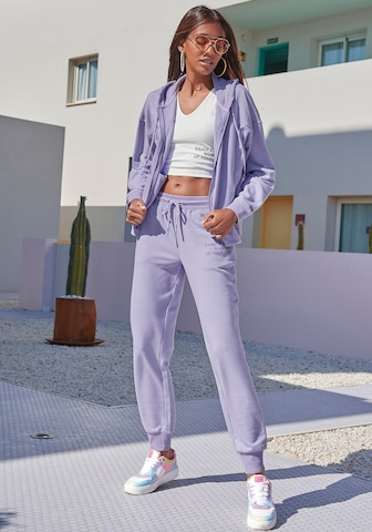 BUFFALO Tapered Trousers in Purple