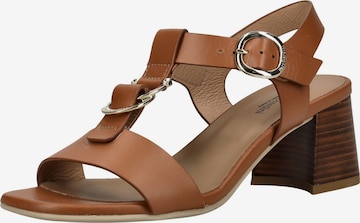 Sandales à lanières Nero Giardini en marron : devant