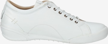 Baskets basses HUSH PUPPIES en blanc