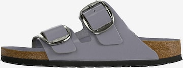 purpurinė BIRKENSTOCK Šlepetės 'Arizona': priekis
