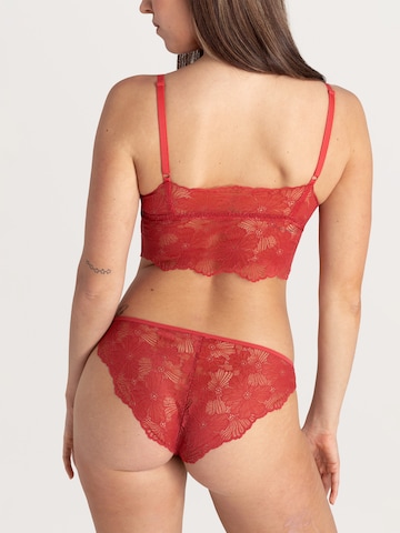 Slip 'Classy Lace' Erlich Textil en rouge