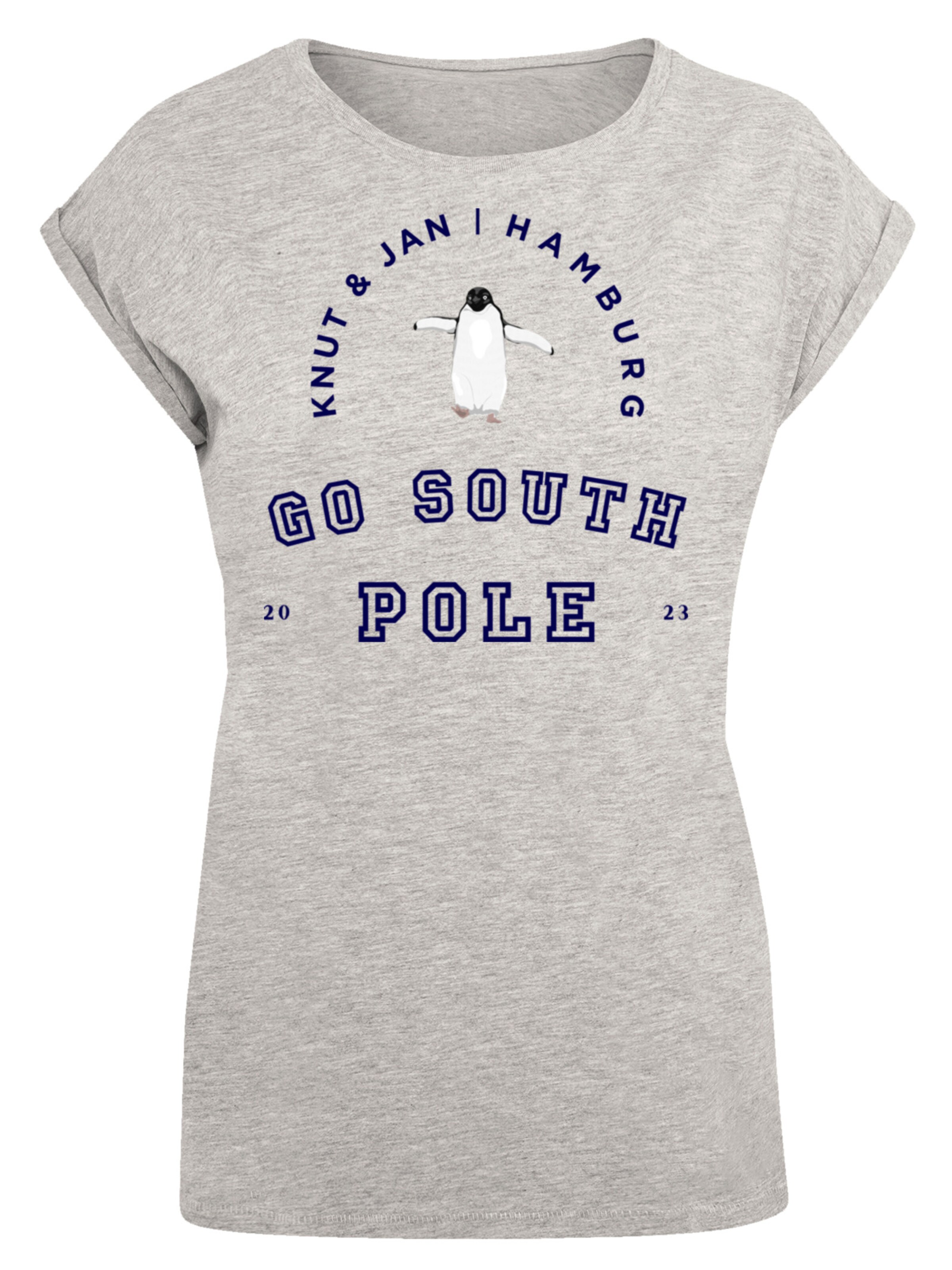 F4NT4STIC Shirt in Grijs: voorkant