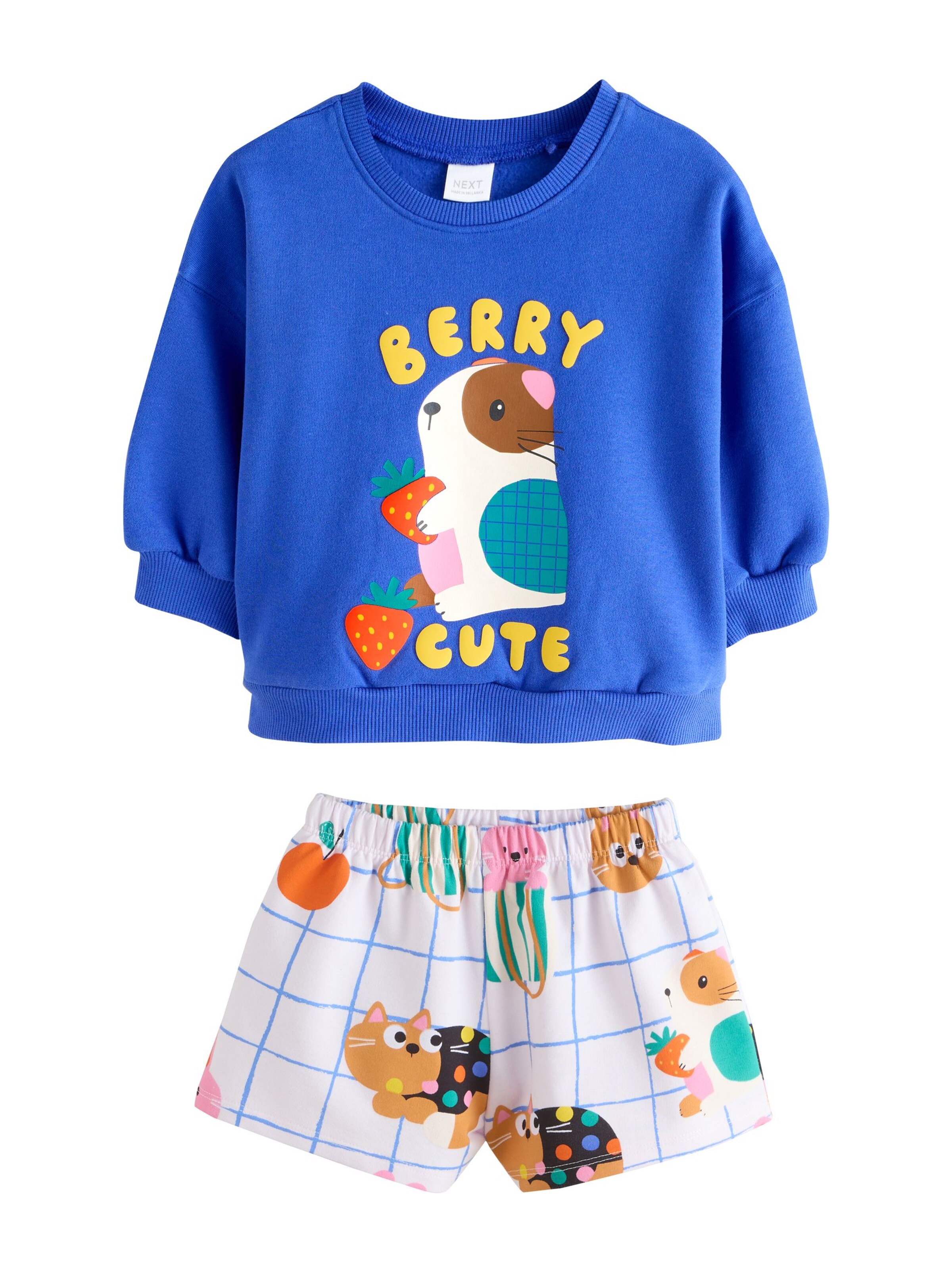 Next Set in Blue: front