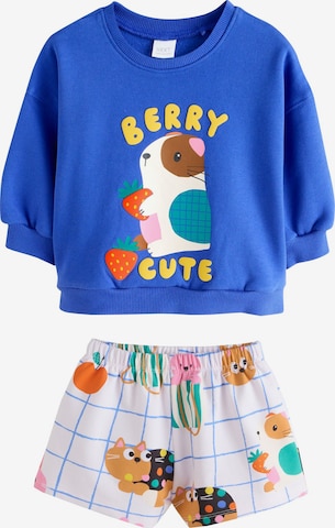 Next Set in Blue: front