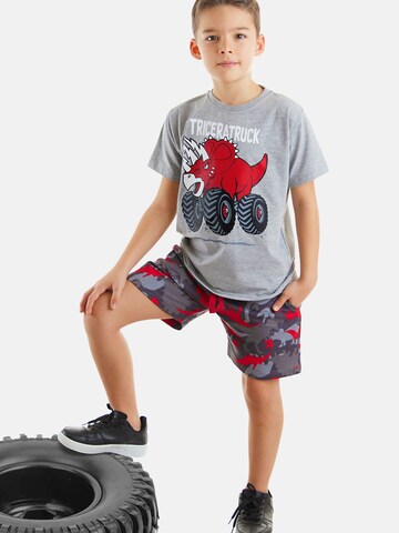 Denokids Set 'Triceratruck' in Grau: Vorderseite