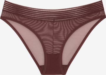 TRIUMPH Panty 'Tai' in Brown