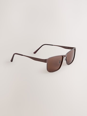 Next Sunglasses in Bronze