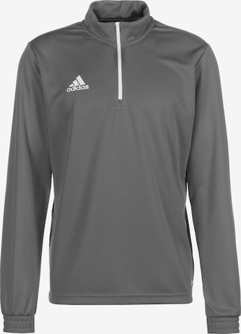 ADIDAS SPORTSWEAR - Sweatshirt de desporto 'Entrada 22' em cinzento: frente