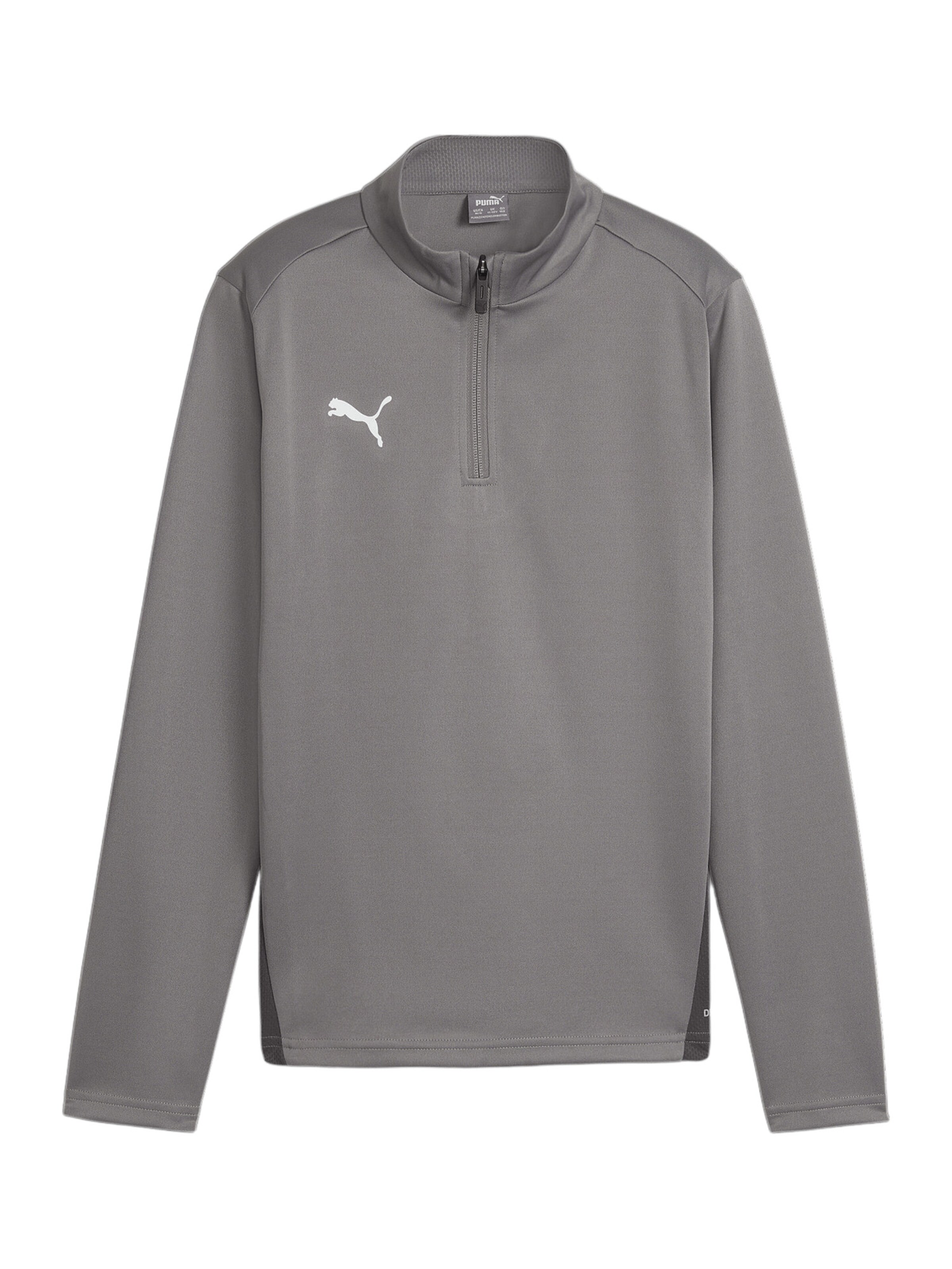 PUMA Funktionsshirt 'Team Goal' in Grau: Vorderseite