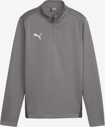 PUMA Funktionsshirt 'Team Goal' in Grau: Vorderseite